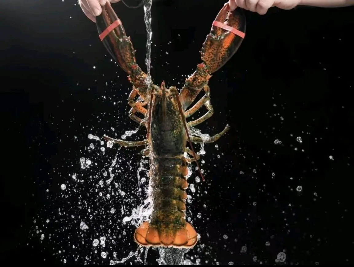 梅州海鲜